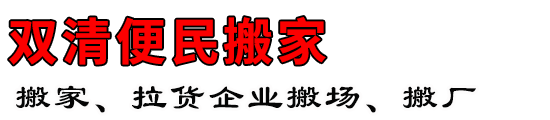 ˫